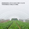 VEVOR Greenhouse Film 25 x 40 ft, Greenhouse Polyethylene Film 6 Mil Thickness, Greenhouse Plastic Greenhouse Clear Plastic Film UV Resistant